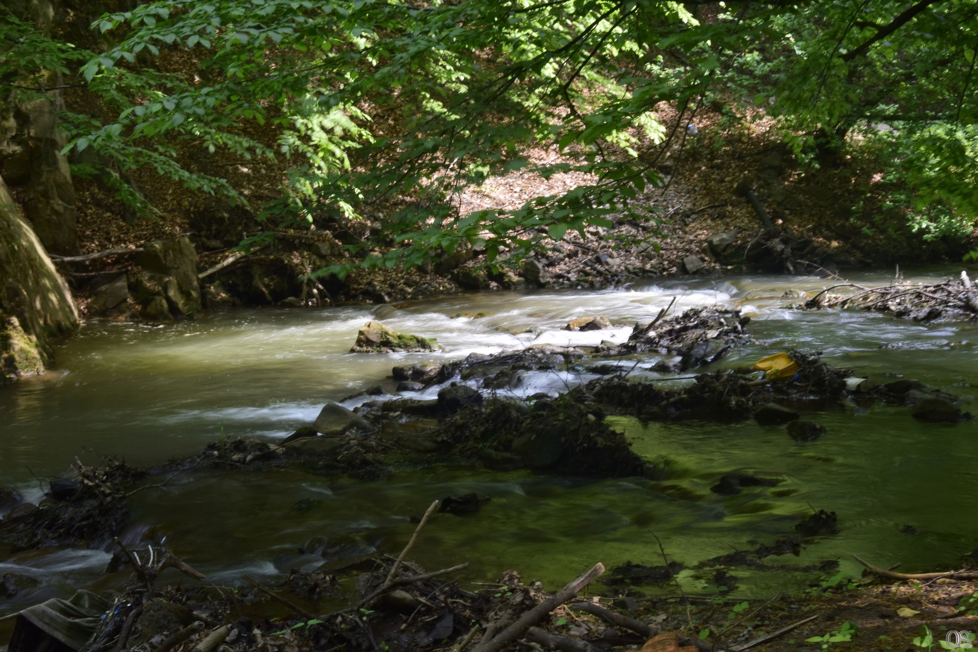 Sciezka Hochbergow 28.jpg